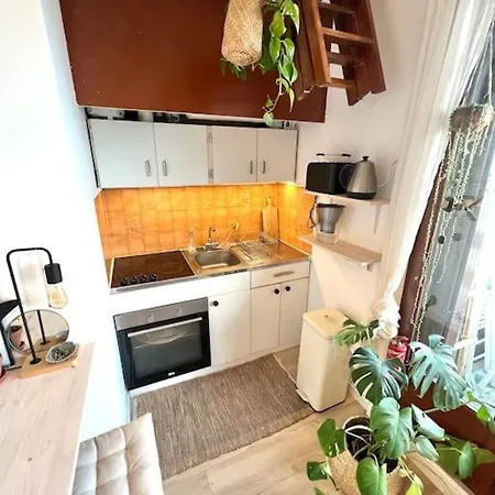 公寓 Cozy Beachfront With Balcony And Private Parking 塞尼奥斯