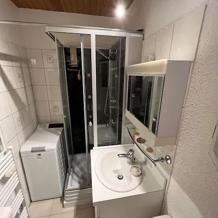 公寓 Cozy Beachfront With Balcony And Private Parking 塞尼奥斯