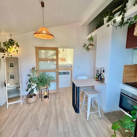 Cozy Beachfront With Balcony And Private Parking 公寓